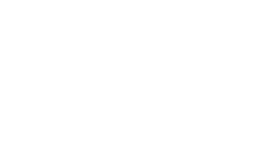 PLT Holding